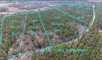 0 Markham Road Tract 4, Bradley, SC 29819