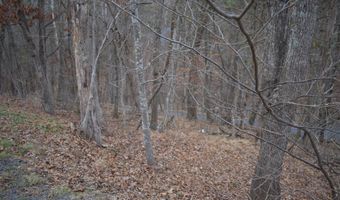 ANDERSON Road, Basye, VA 22810