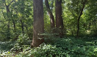 HOLLYWOOD RD, Appomattox, VA 24522