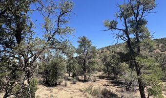 212 Arizona Rd, Ash Fork, AZ 86320