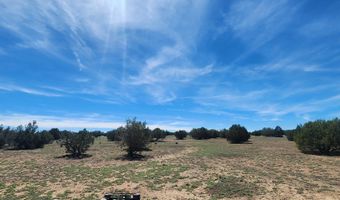 N xxxxx Road 249A, Ash Fork, AZ 86320