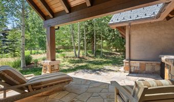 691 Pfister Dr, Aspen, CO 81611