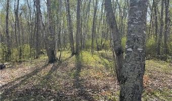 1544 Willard Lake Rd NW, Backus, MN 56435