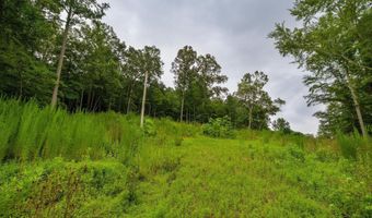 3646 Prospect Church Rd, Apison, TN 37302