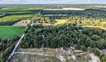 4654 NW 45th Ave, Bell, FL 32619