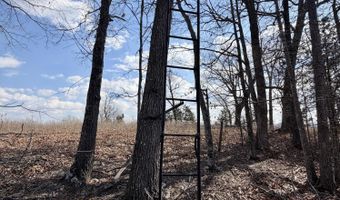 1790 County Rd A-435, Ava, MO 65608