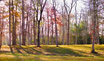 161 Sunshine Dr Lot 44, Arapahoe, NC 28510