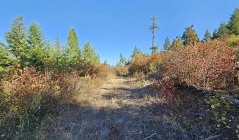 25 XX BURGESS Rd, Addy, WA 99101