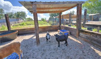 715 FAZZINI Rd, Babson Park, FL 33827