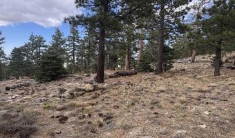 636 Mountain Center 35-0002, Mountain Center, CA 92561