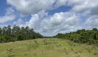 A-1 Long Branch Farm Road, Baker, FL 32531