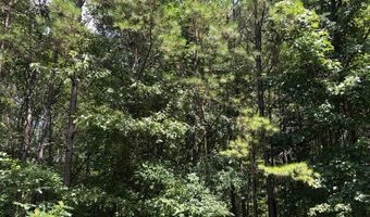 North Palestine Road, Baldwyn, MS 38824