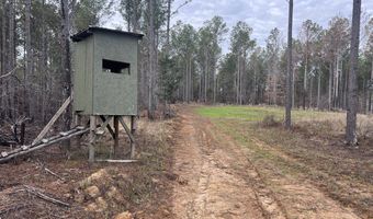 0 Highway 9, Banner, MS 38913