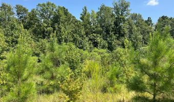 0 Ellis Jones Rd, Bienville, LA 71008