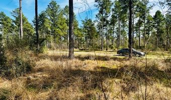 5-6 Laird Lane FM 357, Apple Springs, TX 75926
