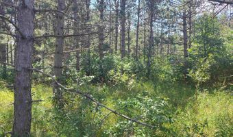 Lot 114 County Road Z, Arkdale, WI 54613