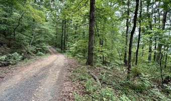 Paradise Lane, Bee Branch, AR 72013