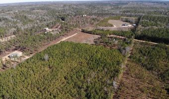 9030 HILLANDALE Dr, Auburn, AL 36830