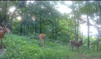 County KK, Alma, WI 54610