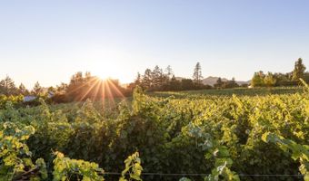 710 Anderson Ln, Angwin, CA 94508