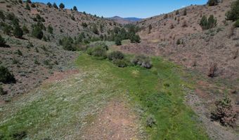 12142 Burns-Izee Rd, Seneca, OR 97873