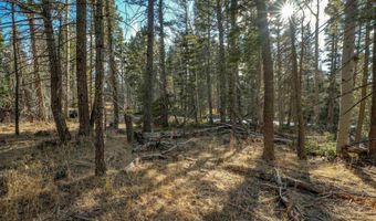 1004 And 1005 El Camino Real, Angel Fire, NM 87710