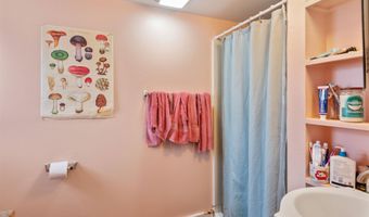317 N Winooski Ave, Burlington, VT 05401
