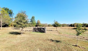 1590 SW 12th St, Atkins, AR 72823