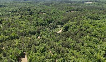 Creek Road lot 6, Ashland, AL 36251