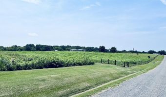 970 Ross Raines, Albertville, AL 35951