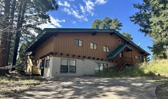 102 Pine Cone Ln, Alto, NM 88312