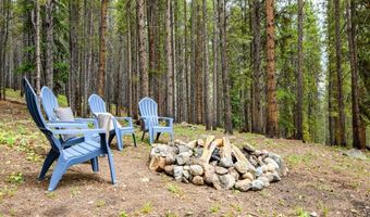 218 GOLDEN CROWN Ln, Blue River, CO 80424
