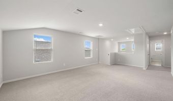 1737 Arches Rd, Anna, TX 75409