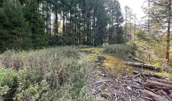 Henning Road, Albrightsville, PA 18210