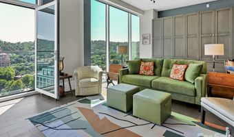 7 Patton Ave 1103, Asheville, NC 28801