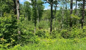 Corno Road and Canaan Street lot All 8 Lots, Canaan, NH 03741