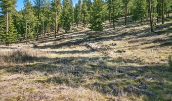 13902 Highland Trl, Alberton, MT 59820