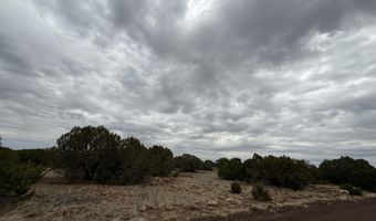 149 County Rd 8057, Concho, AZ 85924