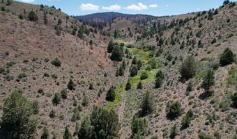 12142 Burns-Izee Rd, Seneca, OR 97873