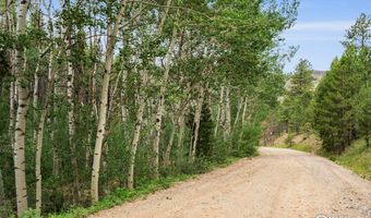 1025 Crystal Mountain Rd, Bellvue, CO 80512