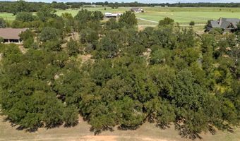 3 W Bluff Ln, Millsap, TX 76066