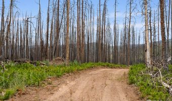 1025 Crystal Mountain Rd, Bellvue, CO 80512