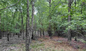 mt Olive Road, Arkadelphia, AR 71923
