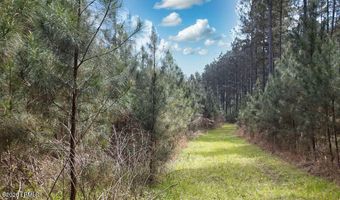 1342 Thomas Hamilton Rd, Brunson, SC 29911