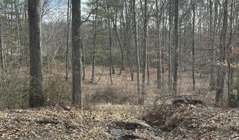 Lot 1 Rt. 1 Muddy Creek Mountain, Alderson, WV 24910