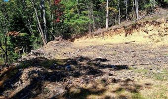 0 Mount Horeb Rd, Amherst, VA 24521