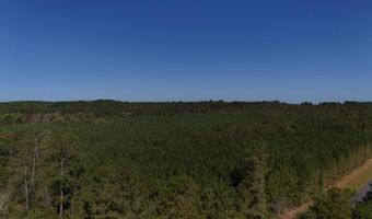 01 Goose Platter Rd, Batesburg, SC 29006