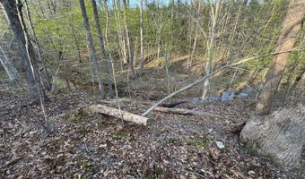 Old Courthouse Road, Appomattox, VA 24522