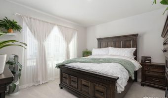 630 Apache Trl B2, Ault, CO 80610