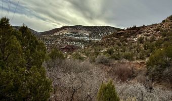 TBD X4 Road, Bedrock, CO 81411